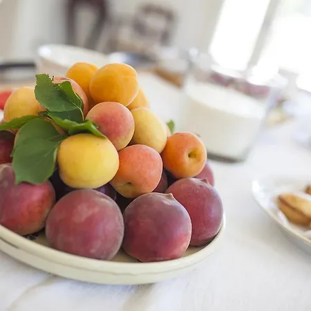 Il Giardino Di Annamaria Bed & Breakfast Carmiano (Apulia)